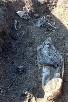Спецгруппа нашла останки еще 15 жертв агрессии ВСУ в захоронении в Первомайске