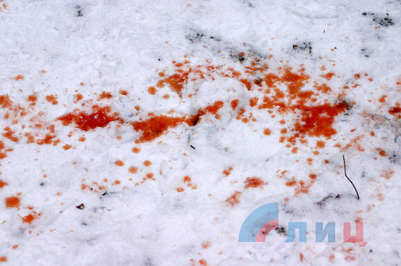 Кровь на снегу.jpg