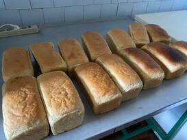 ОНФ начал акцию по выпечке хлеба для эвакуированных из зон боевых действий