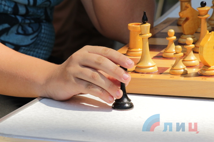 Финал Республиканского турнира по шахматам и шашкам, Луганск, 20 июля 2015 года