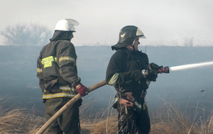 Пожары за сутки уничтожили в ЛНР более 40 га растительности - МЧС