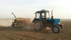 Аграрии Луганска посеяли 511 гектаров озимых культур под урожай будущего года - мэрия