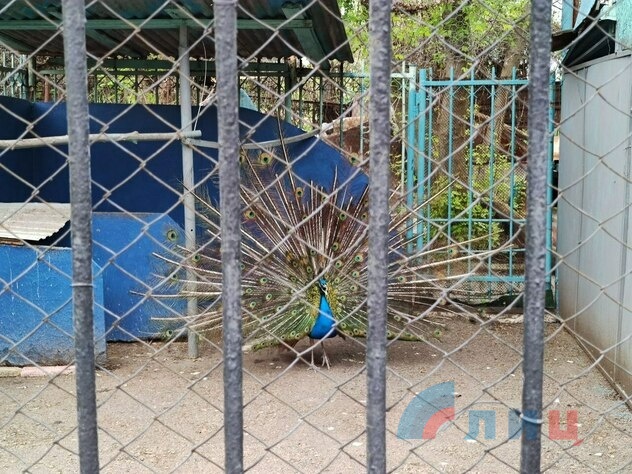 Зооуголок столичного парка культуры и отдыха имени 1 Мая, Луганск, 27 апреля 2023 года