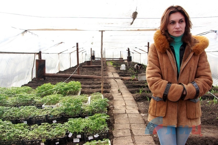 Теплицы предприятия "Комбинат зеленого хозяйства и благоустройства", Луганск,  30 марта 2017 года