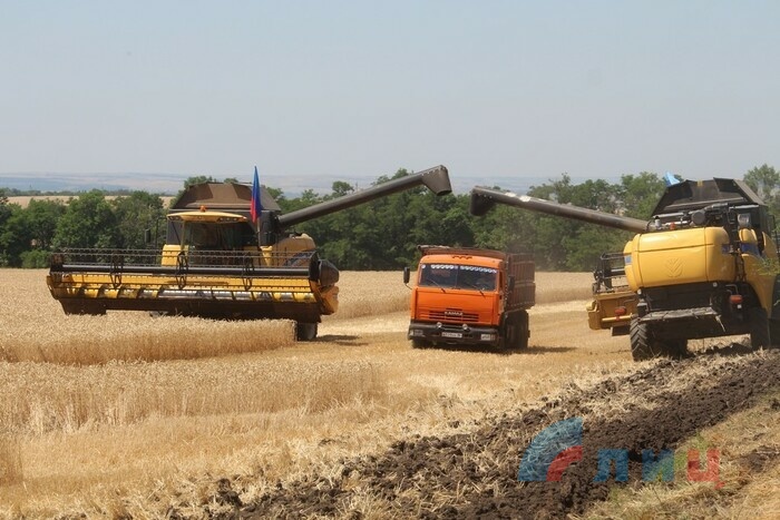 Праздник, посвященный началу уборки урожая, Лутугинский район, 27 июня 2019 года