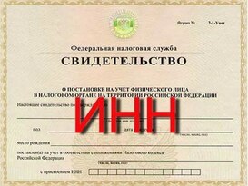 Более 87 тыс. жителей ЛНР обратились в МФЦ за получением ИНН