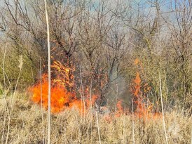 МЧС предупредило о высокой пожароопасности в ЛНР 9 апреля
