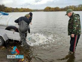 Рыбоводы Республики выпустили в 35 водоемов около 500 тыс. мальков - Минприроды
