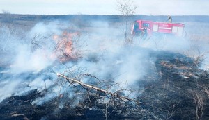 Около 30 сухотравных пожаров произошли в ЛНР на выходных – МЧС
