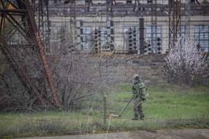 Engineers demine more than half of Severodonetsk territory - Pasechnik