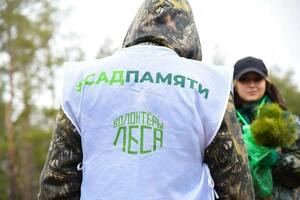 Акции "Сад памяти" и "Сохраним лес" поддержали три тысячи жителей ЛНР и ДНР
