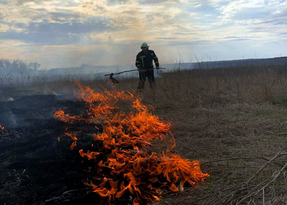 МЧС объявило в ЛНР высокую пожарную опасность
