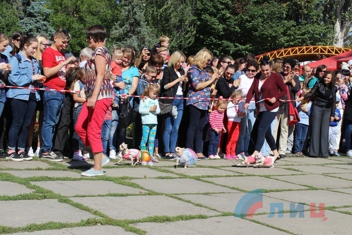 Зоодефиле "Четыре лапы", посвященное Дню города Луганска, Луганск, 9 сентября 2017 года