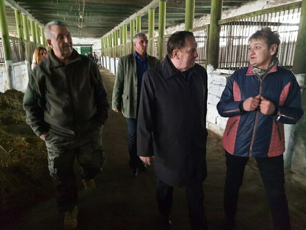 Limarevka horse-breeding farm in Belovodsk district, March 31, 2022