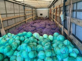 Единороссы из Татарстана доставили жителям Лисичанска и Рубежного около 200 т гумпомощи