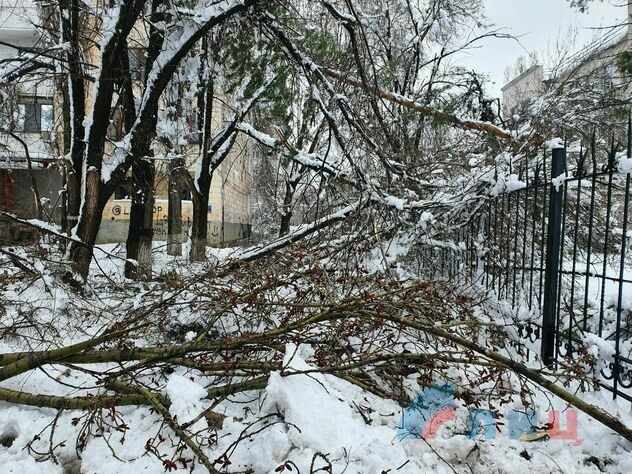 Ликвидация последствий непогоды в Луганске, 31 марта 2023 года