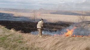 Пожары за сутки уничтожили около 60 га растительности в трех районах ЛНР – МЧС