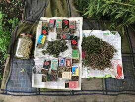 Сотрудники МВД изъяли у жителя Станично-Луганского района около трех кг марихуаны