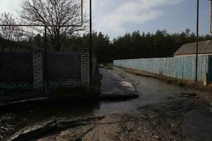 Работы по ликвидации подтопления в Боровском и Сиротино начнутся 11 марта – Правительство
