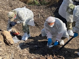 Спецгруппа извлекла из захоронения под Краснодоном останки еще девяти жертв ВСУ