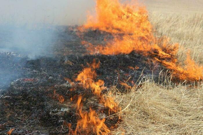 Гидрометцентр предупредил о высокой пожарной опасности в ряде районов ЛНР до 22 мая