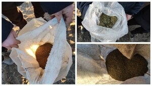 Полиция изъяла у жительницы Кременского района 1,5 кг марихуаны