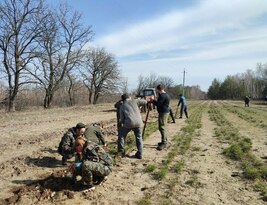 Лесники и экологи высадили около семи тыс. саженцев сосны в Кондрашевском лесничестве